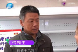 嘉祥债务清欠服务